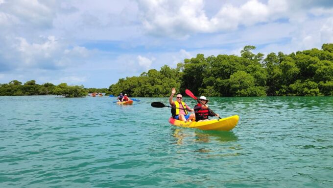 Key West: Sandbar Excursion & Kayak Tour With Lunch & Drinks - Frequently Asked Questions