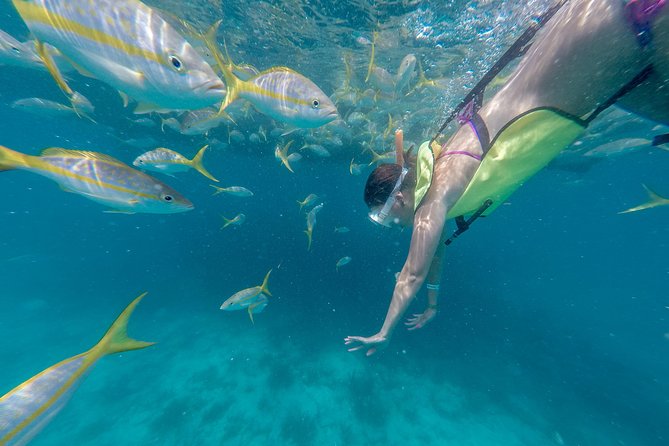 Key West Schooner Backcountry Eco-Tour: Sail, Snorkel & Kayak - Sailing the Gulf of Mexico