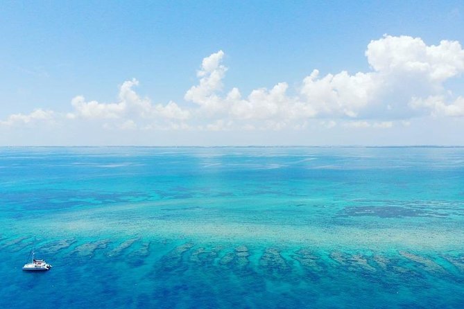 Key West Snorkeling With Breakfast and Unlimited Mimosas - Group Size and Duration