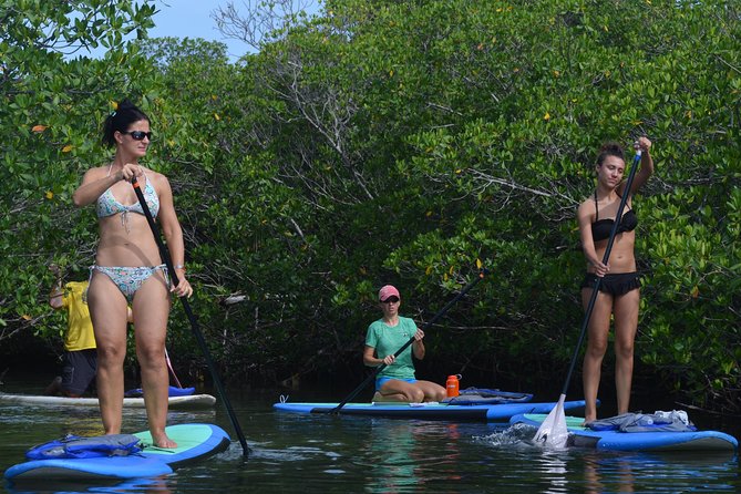Key West Stand Up Paddleboard Rental - Paddleboarding Lesson Details