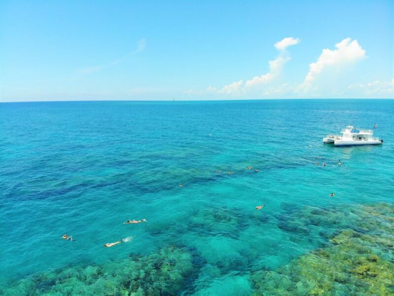 Key West: Sunset Snorkel Cruise With Draft Beer & Wine - Key Points