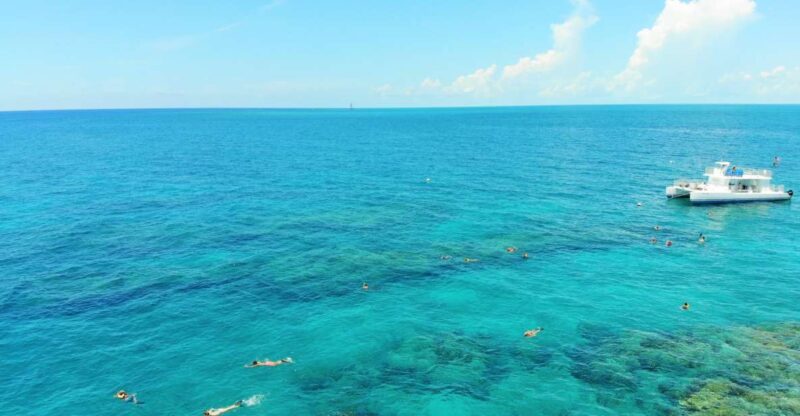 Key West: Sunset Snorkel Cruise With Draft Beer & Wine - Experience Highlights