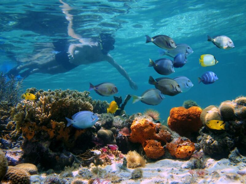 Key West: Sunset Snorkel Cruise With Draft Beer & Wine - Itinerary Details