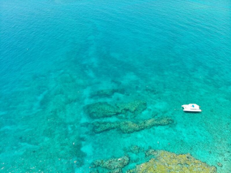 Key West: Sunset Snorkel Cruise With Draft Beer & Wine - Participant Information