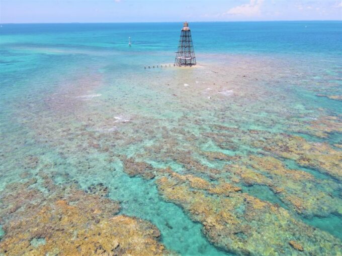 Key West: Sunset Snorkel Cruise With Draft Beer & Wine - Additional Information