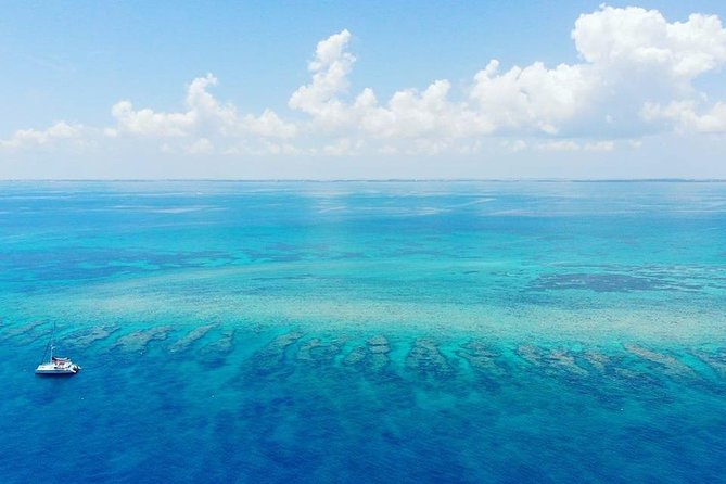 Key West Sunset Snorkel With Unlimited Draft Beer & Wine - Check-in and Age Requirement