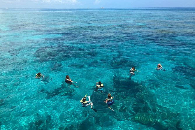 Key West Sunset Snorkel With Unlimited Draft Beer & Wine - Group Size Limit