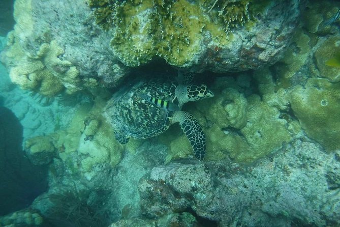 Key West Sunset Snorkel With Unlimited Draft Beer & Wine - Cancellation Policy
