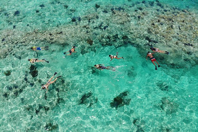 Key West Sunset Snorkel With Unlimited Draft Beer & Wine - Additional Information