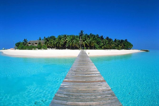 Key West Tour From Miami Private - Schedule