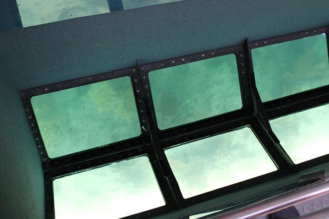 Key West Tours From Miami: Dolphin Discovery, Snorkeling & More ! - Dolphin Watching Experience