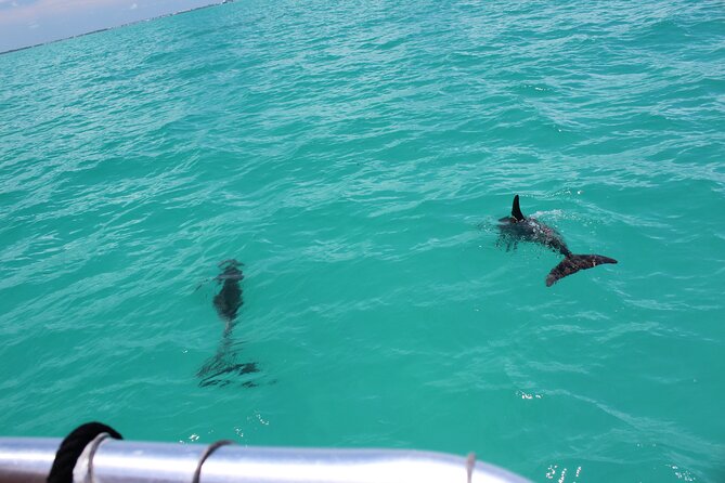 Key West Tours From Miami: Dolphin Discovery, Snorkeling & More ! - Refreshments and Snacks