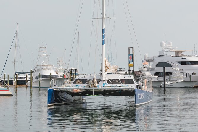 Key Wests Favorite Afternoon Dolphin Sail - Crew Professionalism and Hospitality