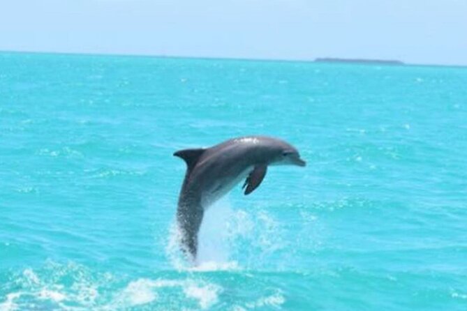 Key Wests Favorite Afternoon Dolphin Sail - Weather-Related Challenges and Accommodations