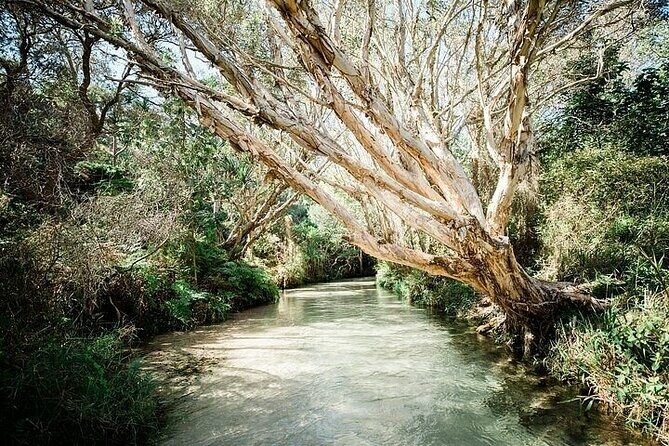 K'gari (Fraser Island) 4-Day Experience Tour From Hervey - Why This Tour Might Be Just What You Need