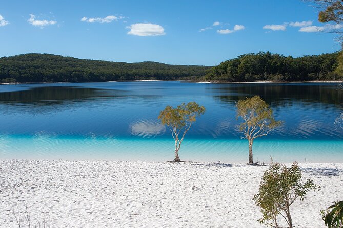 Kgari (Fraser Island) Day Tour - Tour Accessibility