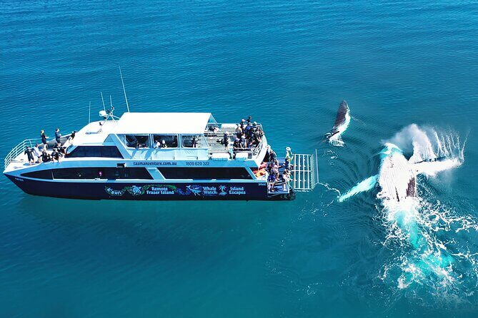 K'gari (Fraser Island) Small Group 4WD Adventure - From Noosa - Frequently Asked Questions