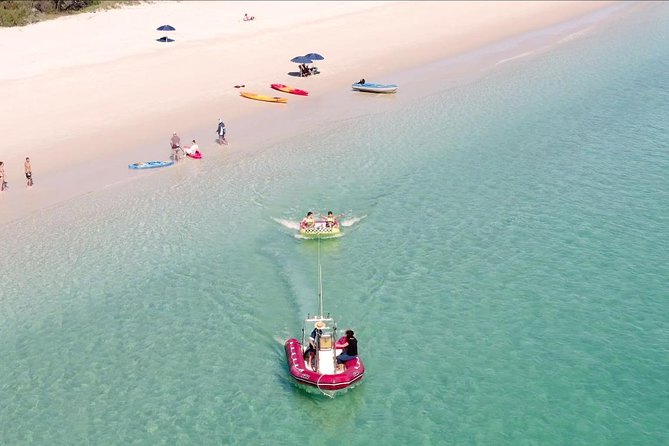 Kgari (Fraser Island) West Coast Half Day Cruise From Hervey Bay - Dolphins and Sea Turtles