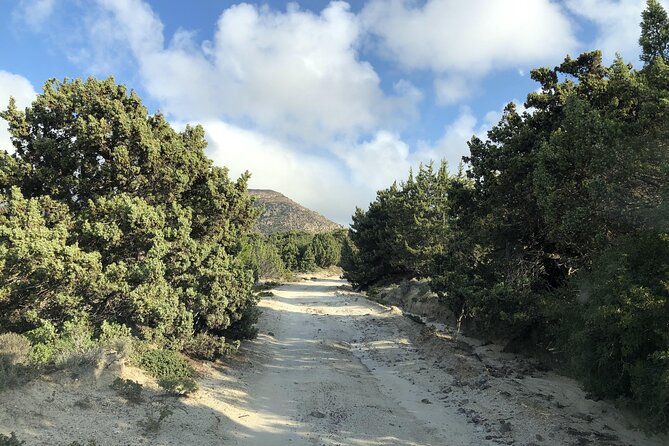 KGS02.Off the Beaten Track Tour in Kefalos & Cavo Paradiso - Pickup and Drop-off