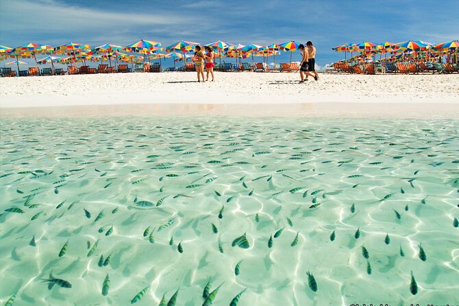 Khai Island Half Day Tour in 3 Islands (Khai Nai,Khai Nok,Khai Nui) From Phuket - Pickup Information