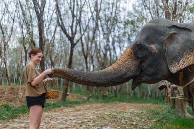Khao Lak: 1-Hour Elephant Sanctuary Eco-Journey With Shuttle - Preparing for the Eco-Journey