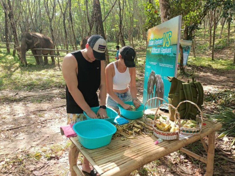 Khao Lak: 2-Hour Elephant Sanctuary Eco-Walk With Guided - Sanctuary Commitment to Welfare