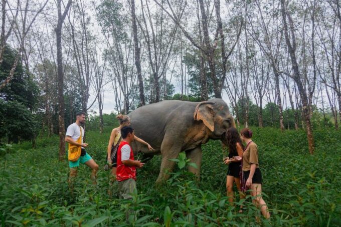 Khao Lak: 2-Hour Elephant Sanctuary Eco-Walk With Guided - Cancellation and Payment Options