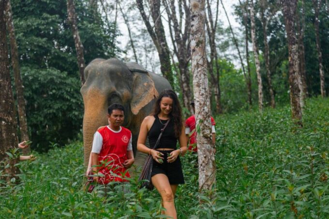Khao Lak: 2-Hour Elephant Sanctuary Eco-Walk With Guided - Frequently Asked Questions