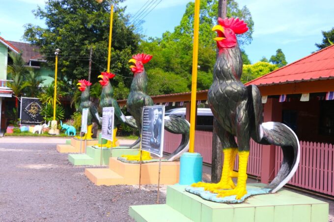 Khao Lak: 6-Hour Takua Pa Historical & Cultural Tour - Knowledgeable Guide Experiences