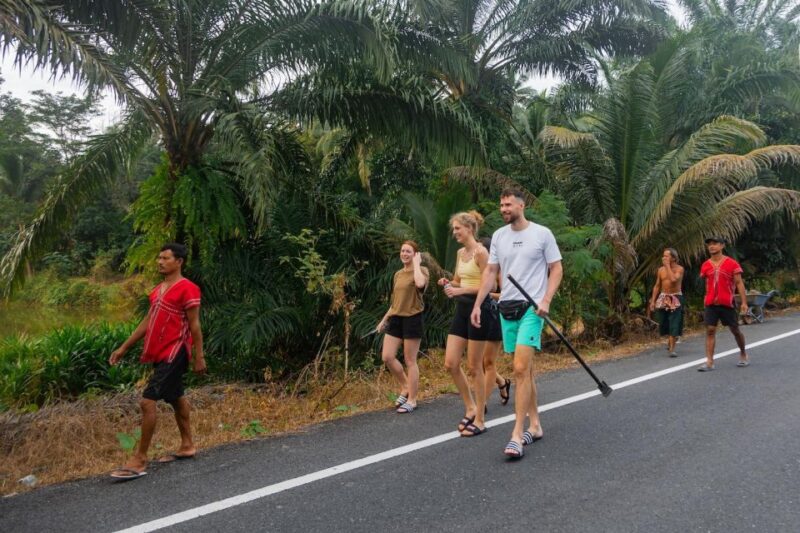 Khao Lak: All-Day Elephant Sanctuary Experience Small Groups - Key Points