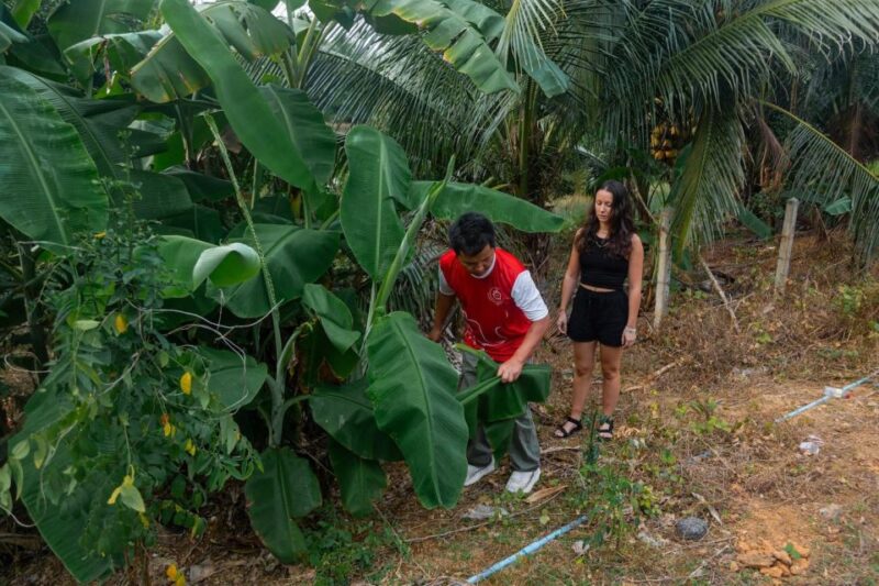 Khao Lak: All-Day Elephant Sanctuary Experience Small Groups - Whats Included and Essential Items