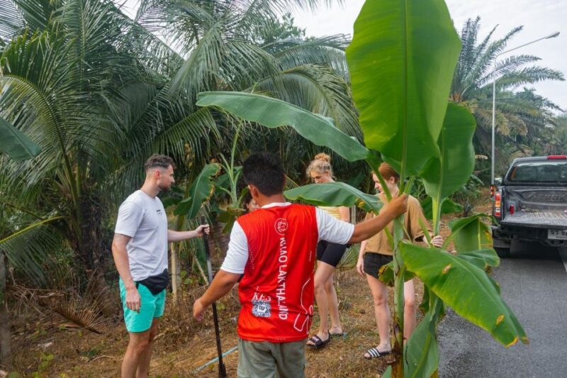 Khao Lak: All-Day Elephant Sanctuary Experience Small Groups - Customer Feedback and Testimonials