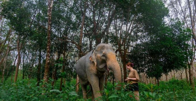 Khao Lak: All-Day Elephant Sanctuary Experience Small Groups - Booking Information and Cancellation Policy