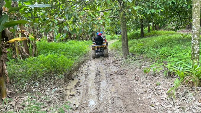 Khao Lak ATV Quadbike Adventure Experience - Pickup and Transportation