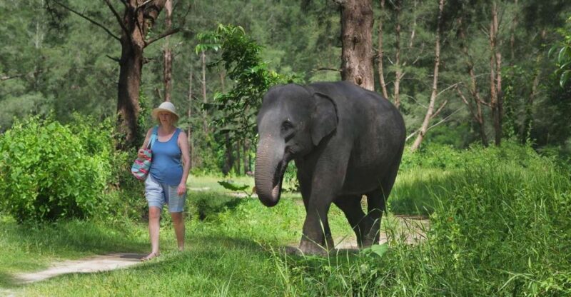 Khao Lak: Bamboo Rafting, Elephants, and Turtle Center Tour - Included Amenities