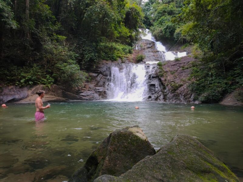 Khao Lak: Bamboo Rafting, Elephants, and Turtle Center Tour - Customer Reviews