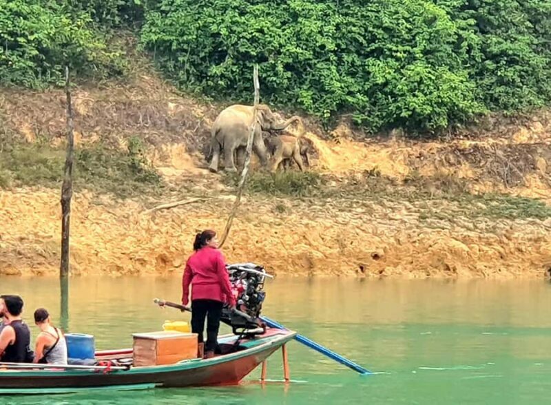 Khao Lak: Cheow Lan Lake, Diamond Cave, Hiking, All Included - Final Highlights: Khao Sam Glur and Returning to the Pier