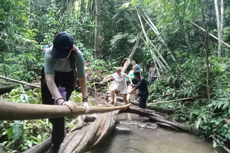 Khao Lak: Cheow Lan Lake, Diamond Cave, Hiking, All Included - What Reviewers Say