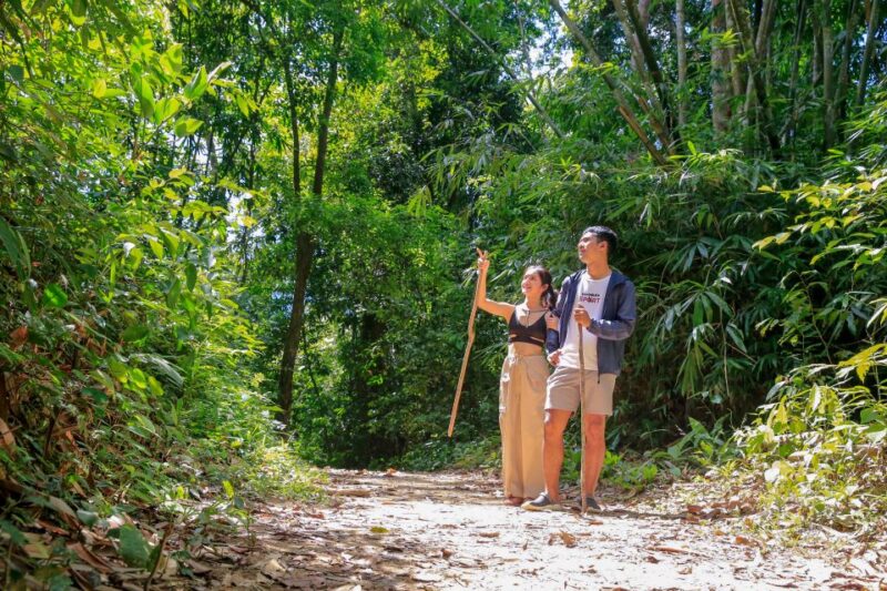 Khao Lak: Cheow Lan Lake Overnight Trip With Elephant Care - Key Points