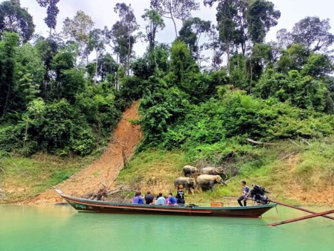 Khao Lak: Cheow Lan Lake Romantic Sunset Cruise With Drinks - Pickup and Transportation