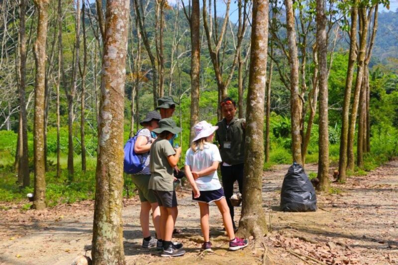 Khao Lak: Early Bird Khao Sok National Park Bamboo Rafting - Key Points