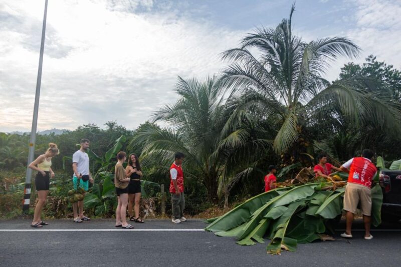 Khao Lak Eco Safari: Elephant Sanctuary Small Group Tour - Experience Highlights