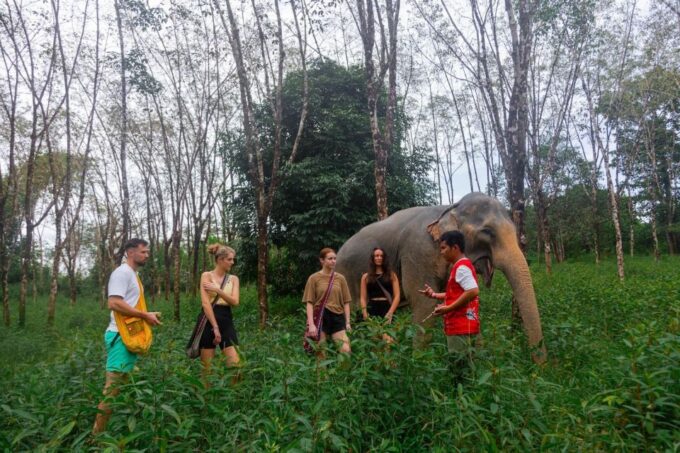 Khao Lak Eco Safari: Elephant Sanctuary Small Group Tour - Scenic Waterfall