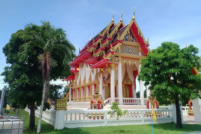 Khao Lak Eco-Safari: Elephants, Tsunami Museum, and Turtles - Guest Feedback Summary