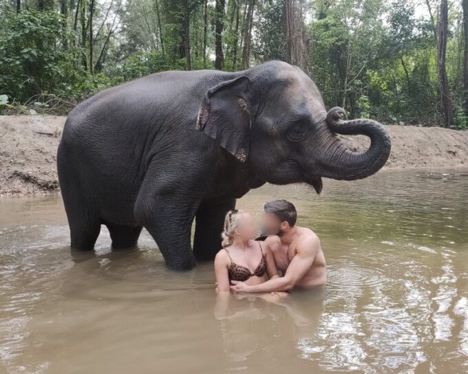Khao Lak: Elephant Bathing and Feeding Tour - Bathing and Scrubbing Elephants