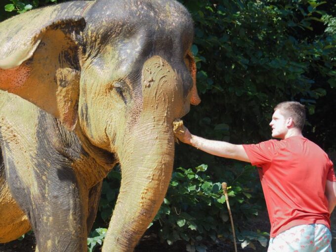 Khao Lak: Elephant Bathing and Feeding Tour - Frequently Asked Questions