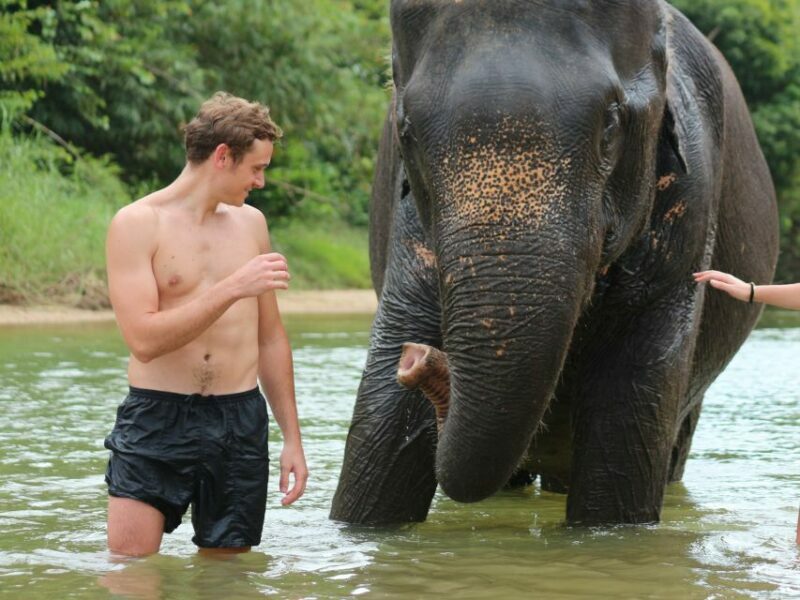 Khao Lak: Elephant Bathing and Turtle Center Visit - An Honest Look at the Tour