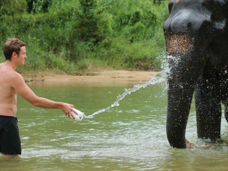 Khao Lak: Elephant Bathing and Turtle Center Visit - FAQ