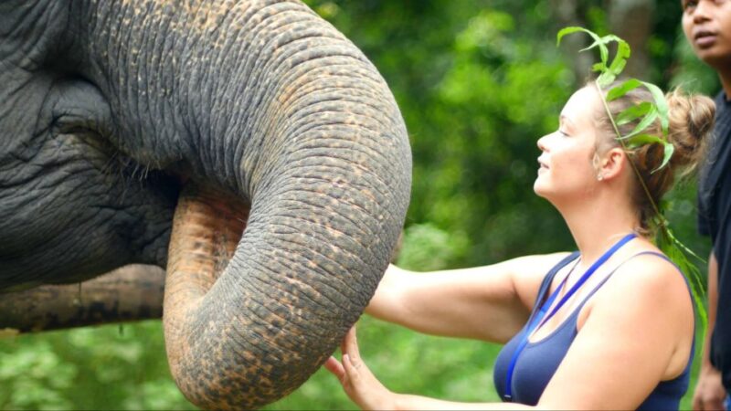 Khao Lak: Elephant Care Experience - Explore the Jungle