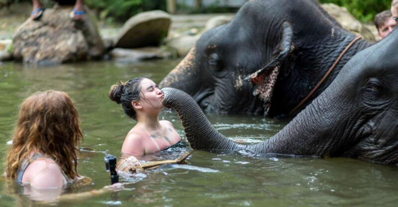 Khao Lak: Elephant Care Experience - Frequently Asked Questions